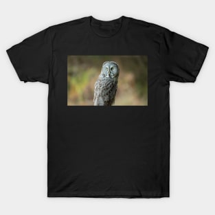 Great Grey Owl Portrait T-Shirt